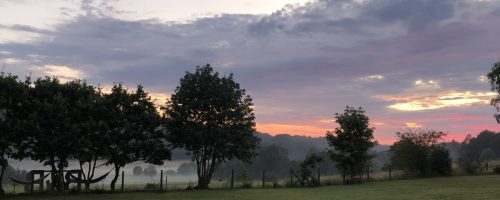 IMG_9485 IMG_9485